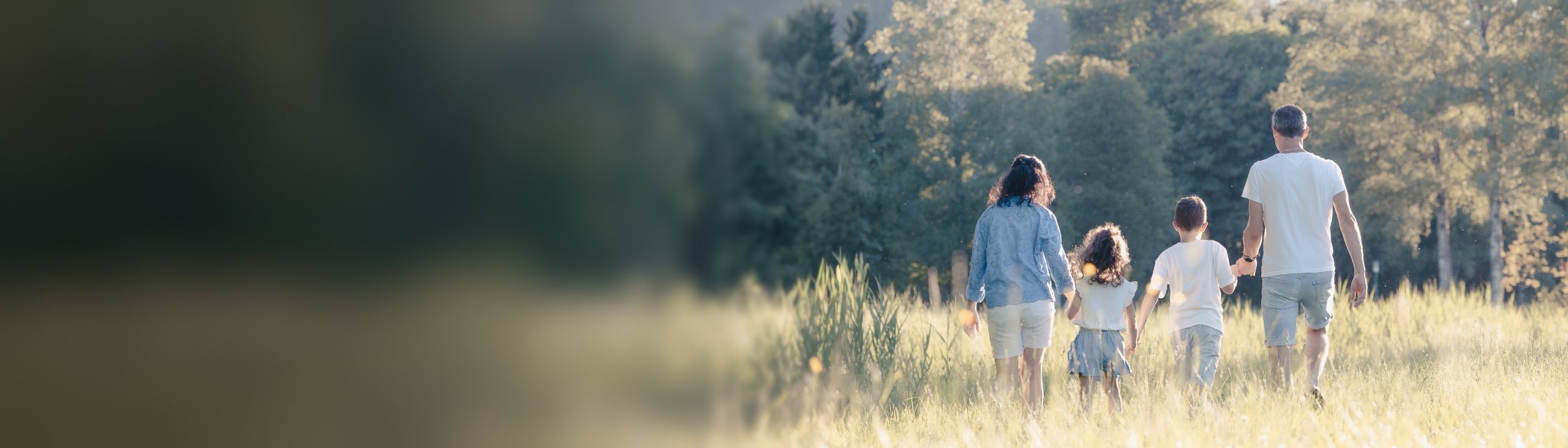 Familie geht Hand in Hand durch eine Wiese im Abendlicht